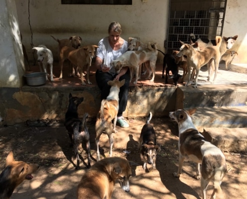 Helen Howell working with dogs in Spain