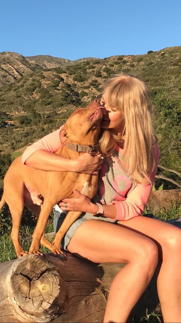 Contact leading canine consultant, Helen Howell