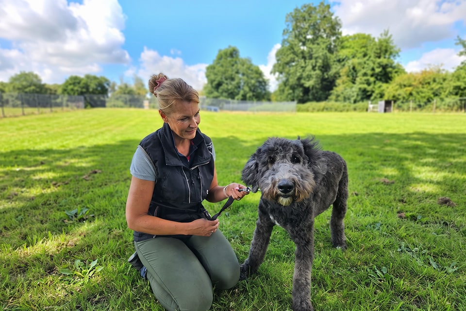 Helen Howell - Dog Behaviour Expert